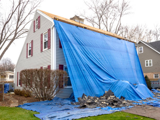 Professional Siding in Ridgeland, SC